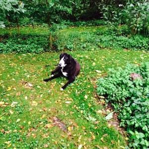 Meet your Posher, Dolores